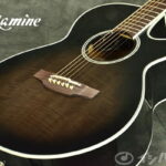 Takamine / PTU121C GBB タカミネ アコースティックギター エレアコ PTU-121C 【お取り寄せ商品/納期別途ご案内】