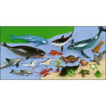 海の生物セット 動物 フィギュア セット 子供英語・学習・教材 知育玩具